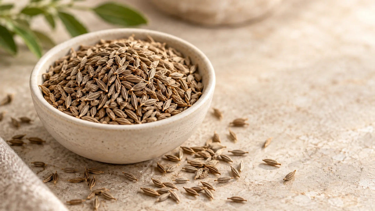 Cumin Seeds in Urdu (زیرہ): Meaning, Uses, Benefits and Safety - MNT