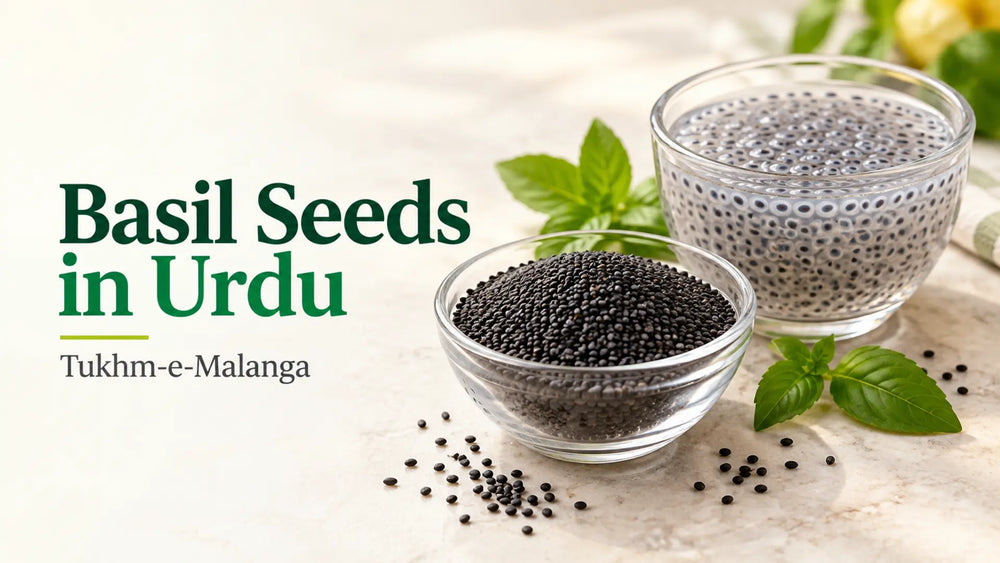 Basil seeds in Urdu, also called Tukhm-e-Malanga, shown dry and soaked in glass bowls beside