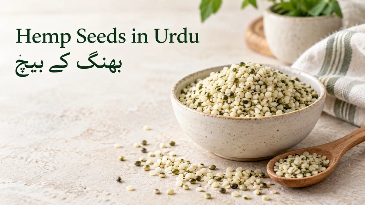 Hemp Seeds in Urdu: بھنگ کے بیج — Benefits, Uses & Safety - MNT