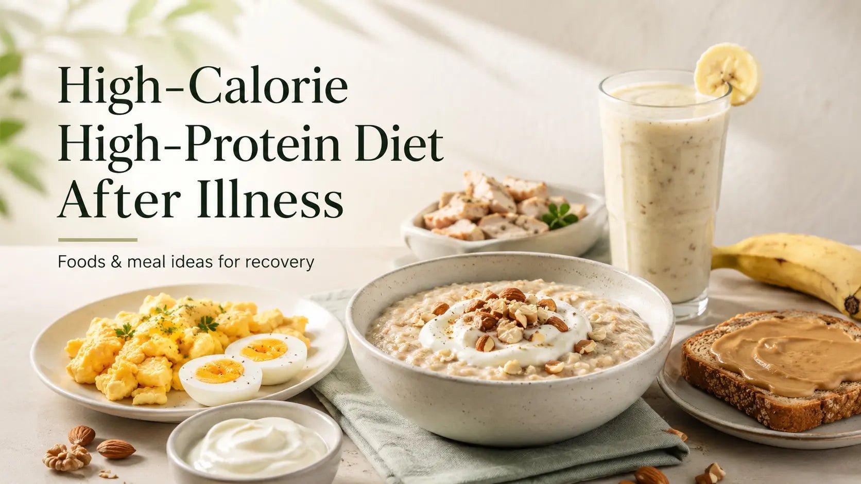 High-Calorie High-Protein Diet for Recovery After Illness: Foods, Meal Plan & Recovery Guide - MNT