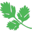 Herbal Raw Products